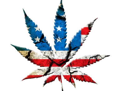 State of Marijuana in Nevada